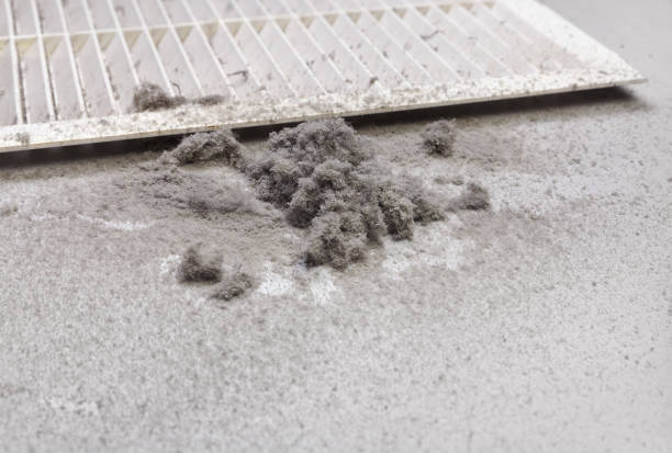 Best Best Air Duct Cleaning Near Me  in Florence, AL