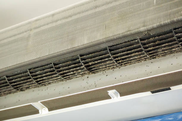 Best Commercial HVAC Duct Cleaning  in Florence, AL