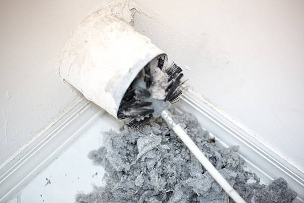 Best Local Air Duct Cleaning Services  in Florence, AL